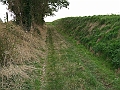 futur trail 048